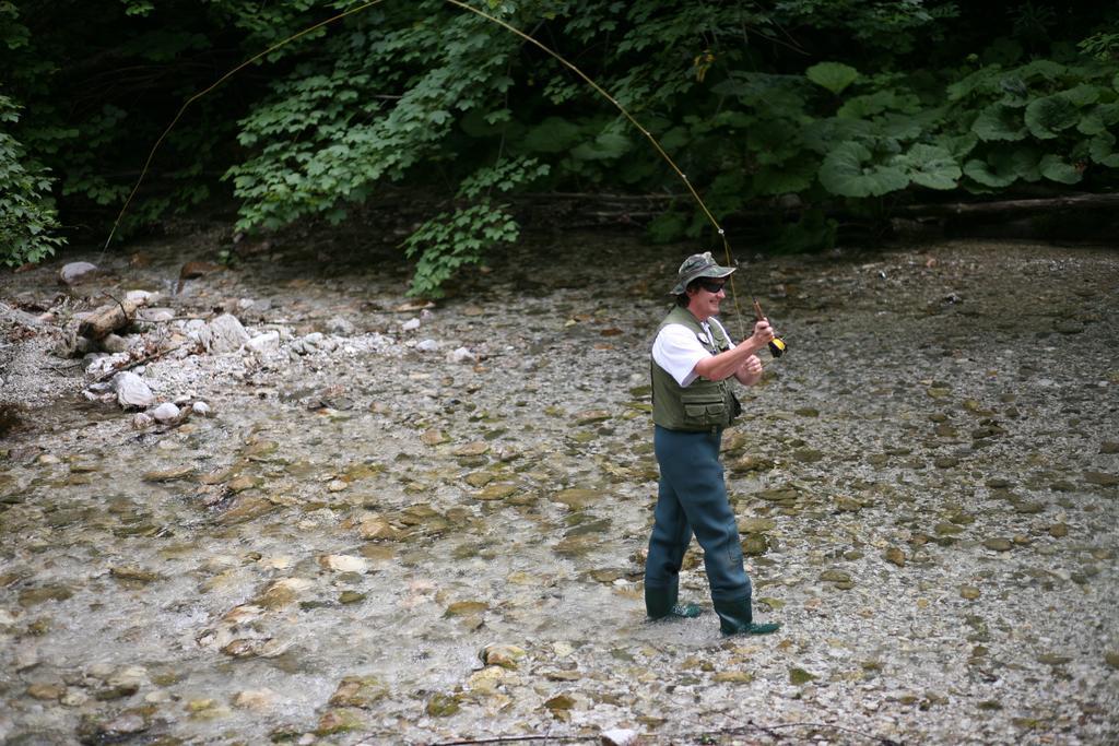 Hotel Plesnik Logarska Dolina Solcava Luaran gambar